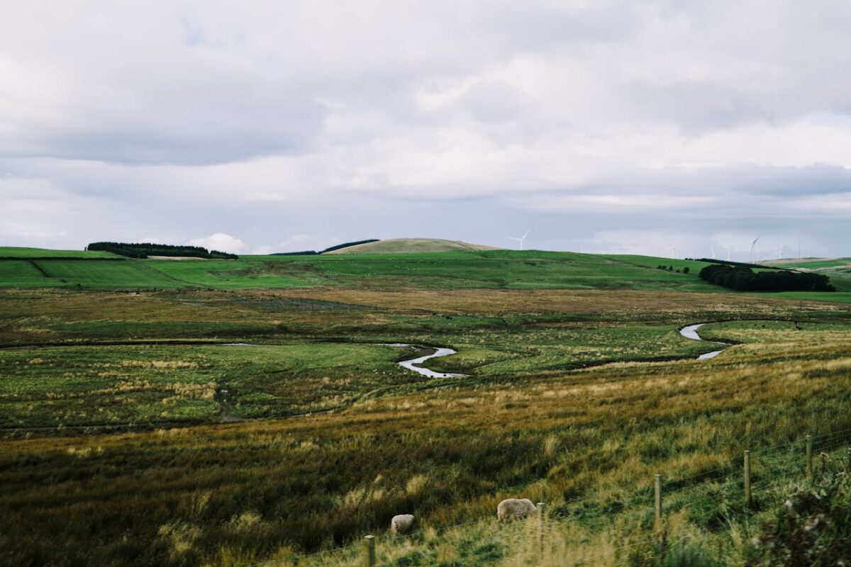 Scottish Windfarm Climate Chnage Legislation